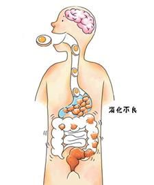 坐月子应该多吃鸡蛋吗,坐月子真的需要大量吃鸡蛋吗图6