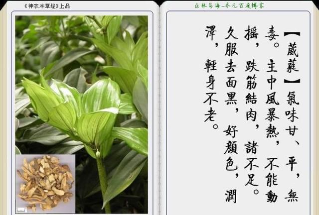 干货分享，《本草纲目》常用中药图谱解析大全，很有用，值得收藏