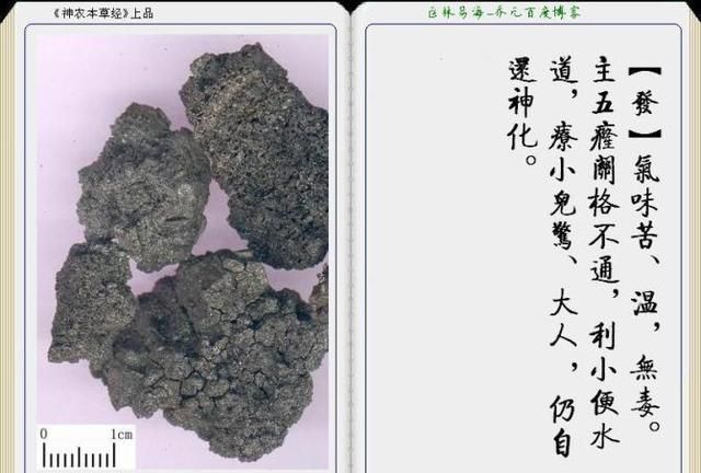 干货分享，《本草纲目》常用中药图谱解析大全，很有用，值得收藏