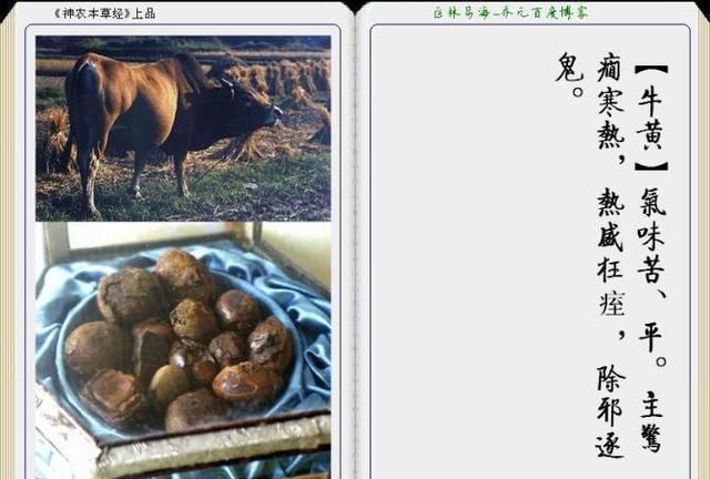干货分享，《本草纲目》常用中药图谱解析大全，很有用，值得收藏