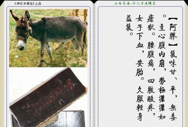 干货分享，《本草纲目》常用中药图谱解析大全，很有用，值得收藏