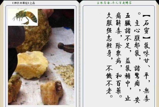 干货分享，《本草纲目》常用中药图谱解析大全，很有用，值得收藏