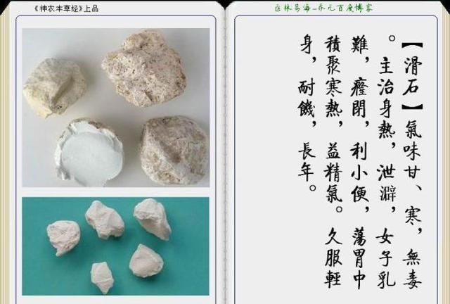 干货分享，《本草纲目》常用中药图谱解析大全，很有用，值得收藏