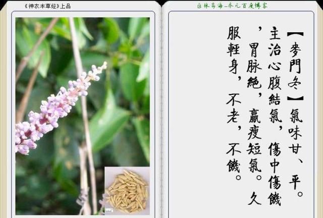 干货分享，《本草纲目》常用中药图谱解析大全，很有用，值得收藏