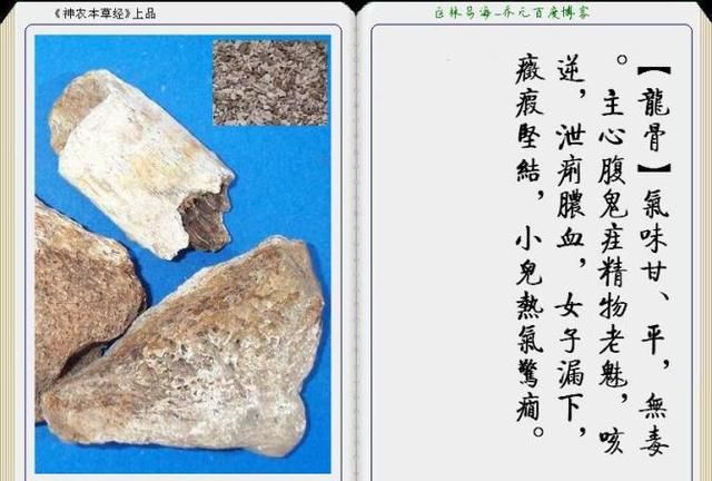 干货分享，《本草纲目》常用中药图谱解析大全，很有用，值得收藏