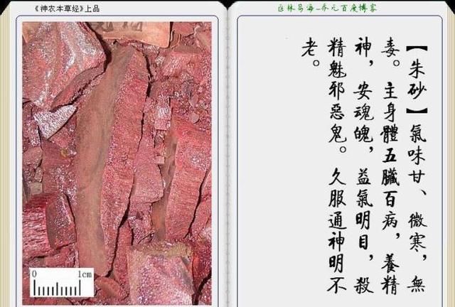 干货分享，《本草纲目》常用中药图谱解析大全，很有用，值得收藏