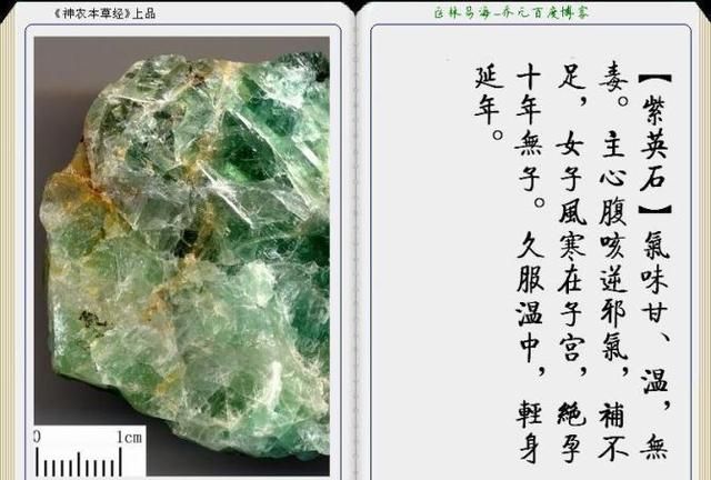 干货分享，《本草纲目》常用中药图谱解析大全，很有用，值得收藏