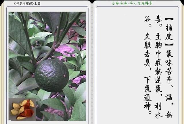干货分享，《本草纲目》常用中药图谱解析大全，很有用，值得收藏