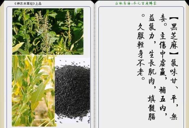 干货分享，《本草纲目》常用中药图谱解析大全，很有用，值得收藏