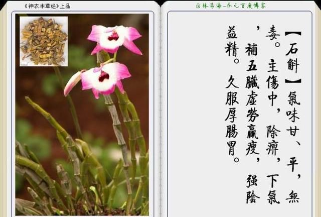 干货分享，《本草纲目》常用中药图谱解析大全，很有用，值得收藏