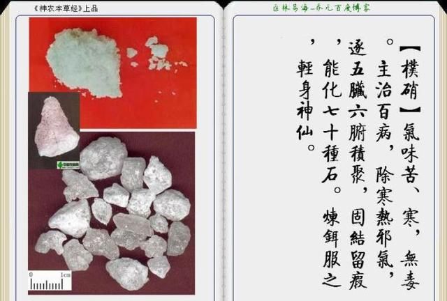 干货分享，《本草纲目》常用中药图谱解析大全，很有用，值得收藏
