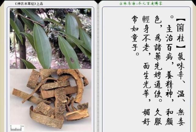 干货分享，《本草纲目》常用中药图谱解析大全，很有用，值得收藏