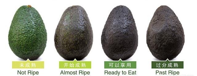给宝宝吃牛油果可以直接吃吗图4
