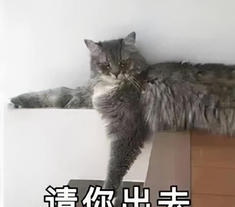 2岁男童误食减肥药中毒！这些“减肥神药”你有在吃吗？