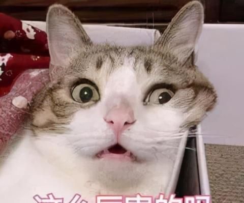 2岁男童误食减肥药中毒！这些“减肥神药”你有在吃吗？