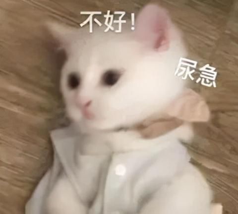 2岁男童误食减肥药中毒！这些“减肥神药”你有在吃吗？