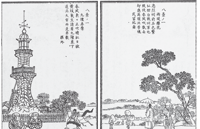 樱花是如何成为日本的象征的？