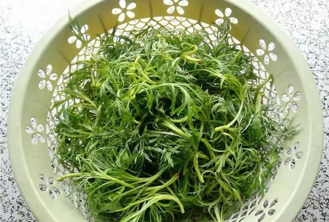 柳蒿芽最好吃的野菜图2