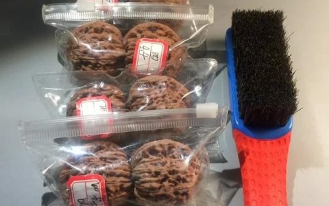 大核桃和小核桃哪个好(烤核桃和生核桃哪个营养价值高)