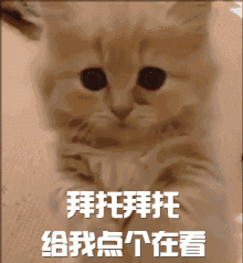 红枣补血？真正的补血圣物是这5种食物，尤其最后一个