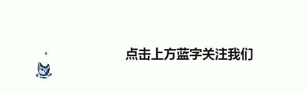 冬虫夏草怎么吃才是真正的不浪费？