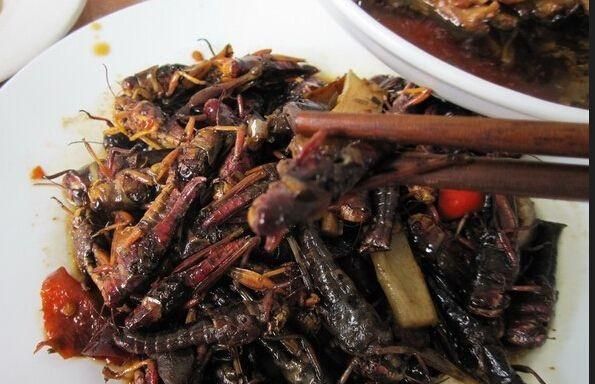 蝗虫好吃不好吃(蝗虫怎么做好吃教程)图4