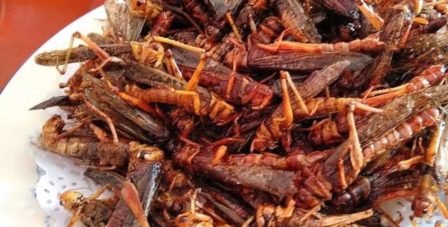 蝗虫好吃不好吃(蝗虫怎么做好吃教程)图9
