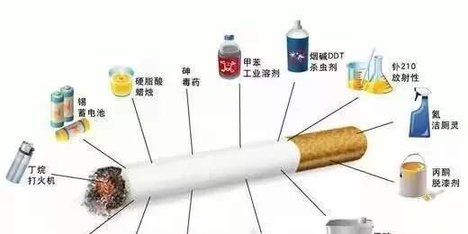 烟草为什么有害健康图2