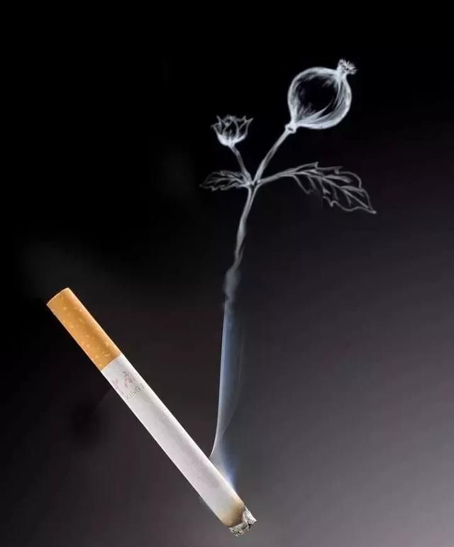 烟草为什么有害健康图6