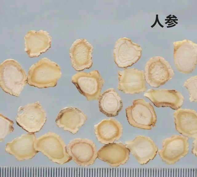 每天学习一味中药——人参