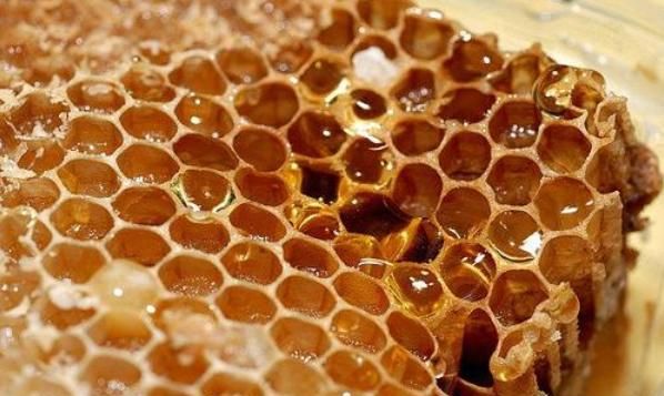 新鲜的蜂蜜需要处理了才能吃吗图3