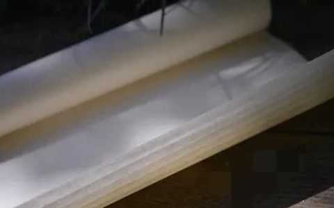 工笔画中的蝉衣纸怎么用