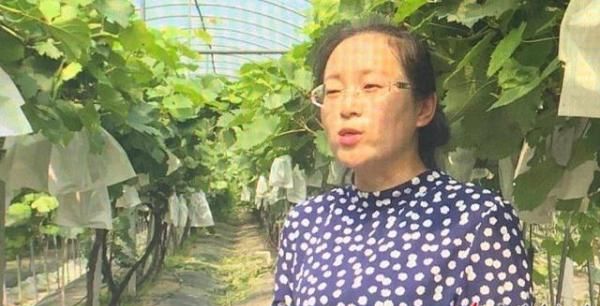 记者调查：葡萄有毒？不要再让“谣言伤农”