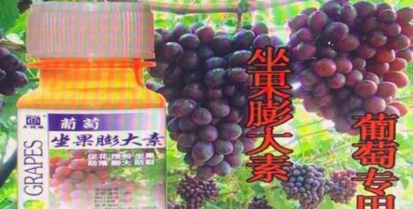 记者调查：葡萄有毒？不要再让“谣言伤农”