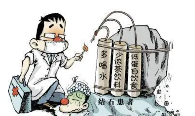 肾结石饮食大全