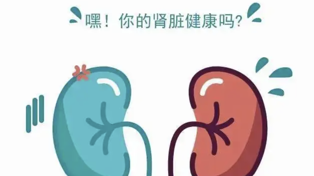 肾结石饮食大全