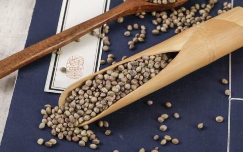 每天学一味中药火麻仁
