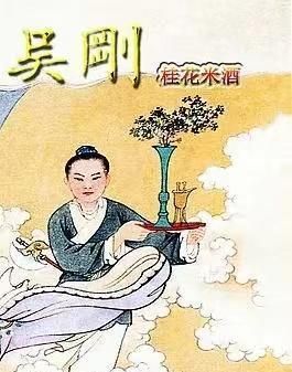 桂花可以食用吗图2