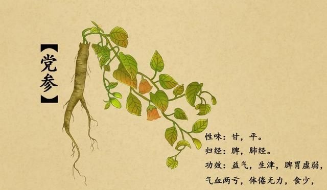 换季开补别吃错！快来看看哪种“参”最适合你