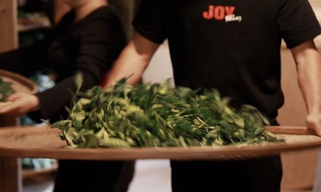 武夷岩茶中说的岩骨花香是什么,武夷岩茶大红袍岩骨花香图9