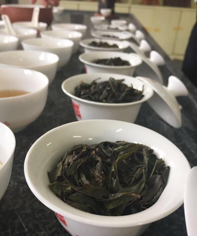 武夷岩茶中说的岩骨花香是什么,武夷岩茶大红袍岩骨花香图10