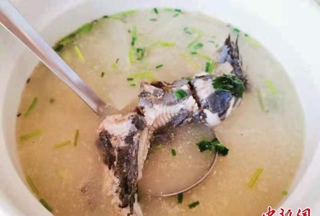 敢吃青蟹的“鳁鱼”：广东侨乡台山餐桌上的“水中人参”