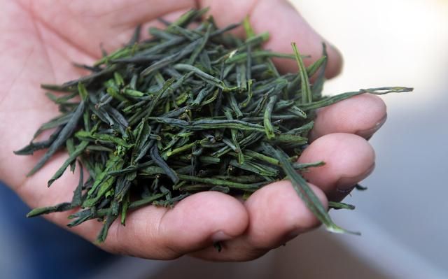 六安瓜片你只知道它的名字很奇特吗？这是一款非常具有个性的茶叶