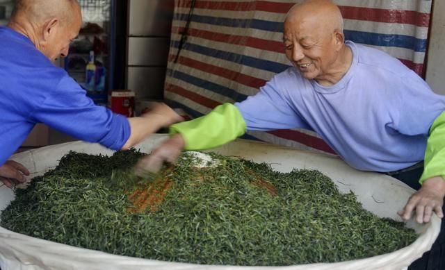 六安瓜片你只知道它的名字很奇特吗？这是一款非常具有个性的茶叶