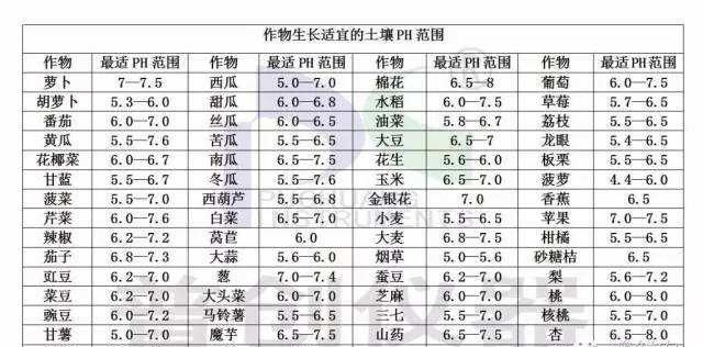 白根有劲、黄根保命、黑根得病、灰根要命，作物高产养根是关键！