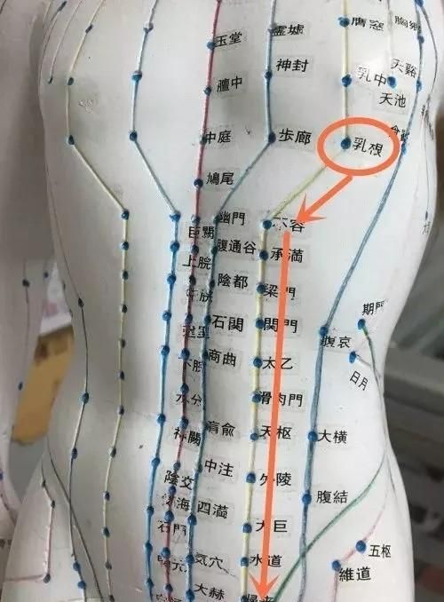 中药减肥的好处和坏处是什么图1