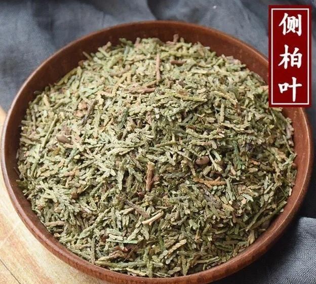 胡博士说中药｜侧柏叶的来源和作用，从它的传说故事说起