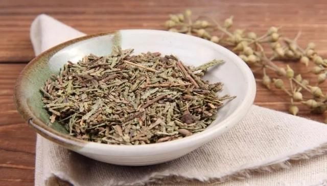 胡博士说中药｜侧柏叶的来源和作用，从它的传说故事说起