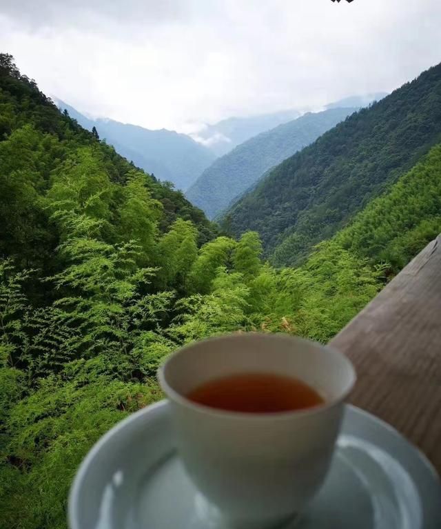 什么是正山小种,正山小种怎么样图7
