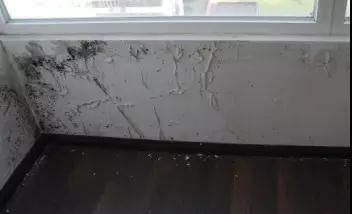 墙面发霉好恶心！7招拯救你家墙面，跟霉说永别